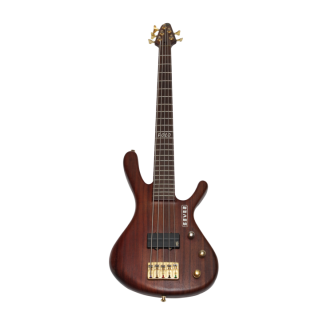 Custom bass 5str. Polo GD